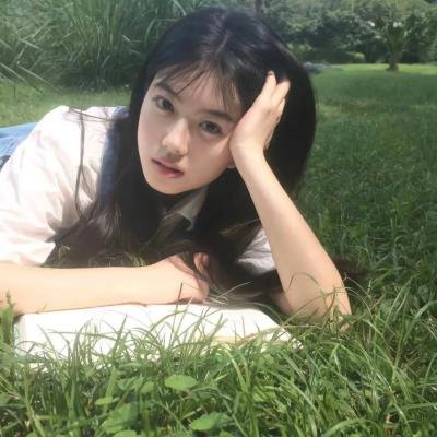 乱世伤痕:末代总督的秘密
